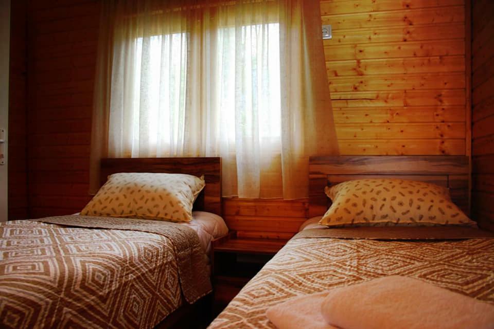 מסטיה Hotel Ushba Hill מראה חיצוני תמונה